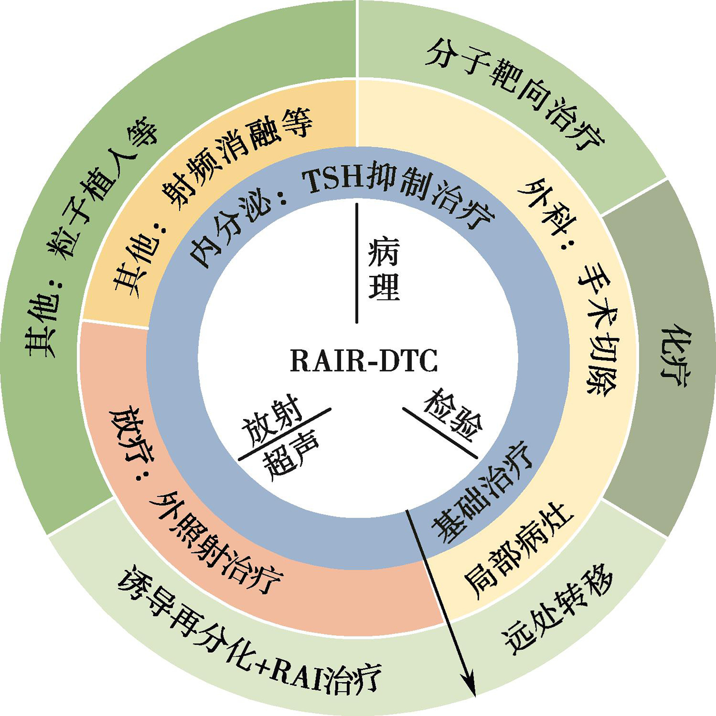 图4 RAIR-DTC的MDT协作诊治模式